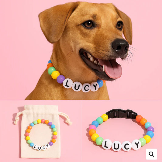 2x BFF Dog Collar + Free Matching Bracelet Bundle
